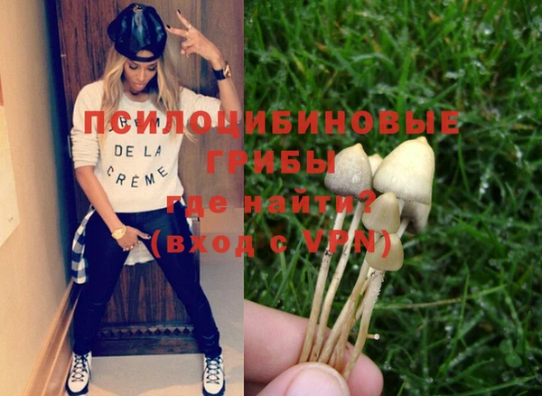 2c-b Верея